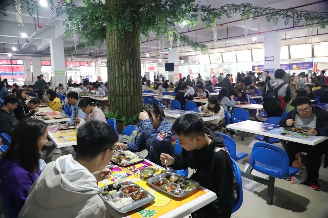 向往的生活1中的小院,精装版向往的生活