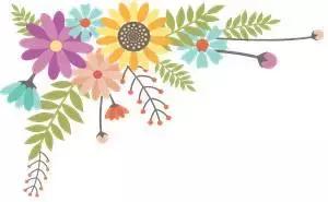 青岛教育目前存在的问题,青岛中学教育质量