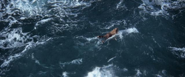 真实事件改编越狱电影的经典之作,十部根据真实事件改编的越狱电影