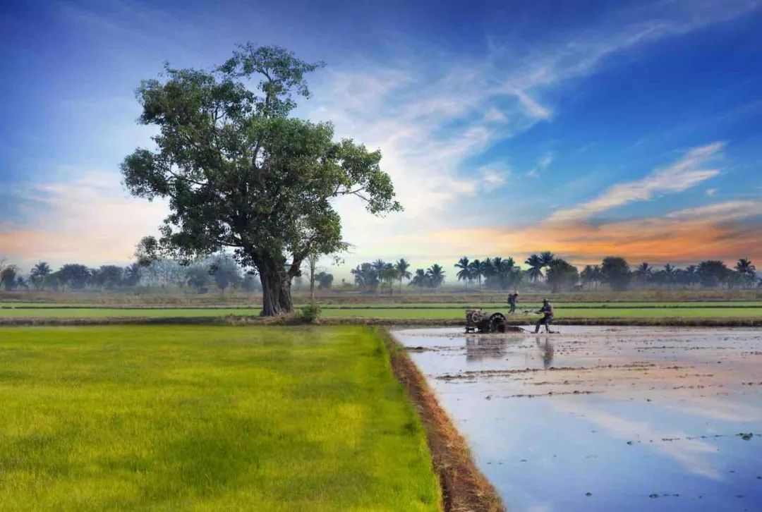几月份去泰国旅游最佳,泰国旅游攻略一月份气温