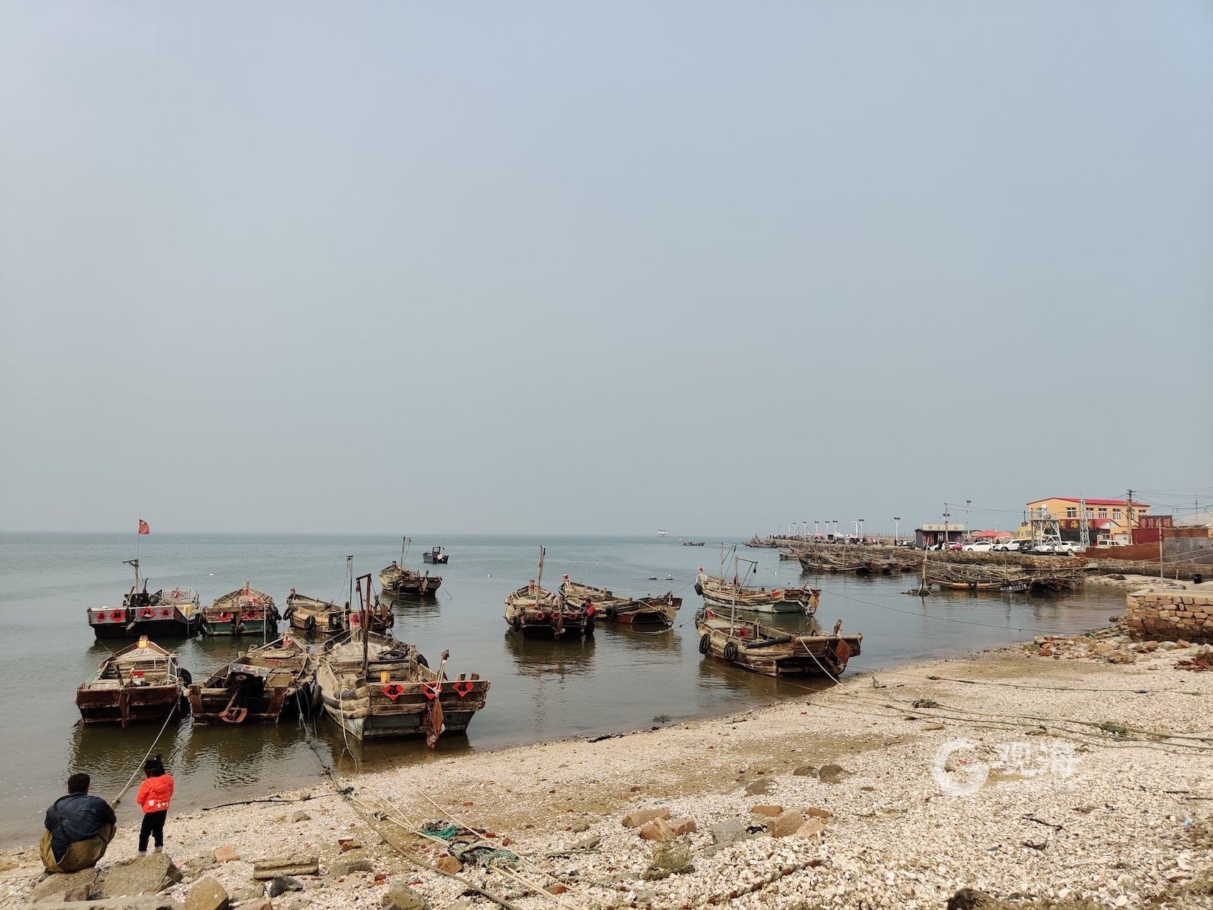 即墨开海上哪个码头买海货新鲜,渔船靠岸搜罗带一手新鲜靓海鲜