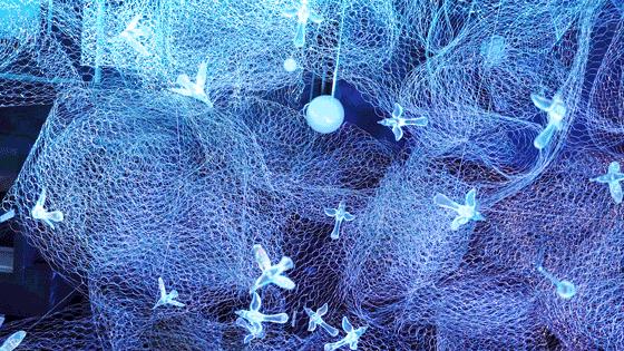 不看攻略的旅行,去厦门旅游一定要知道的36条