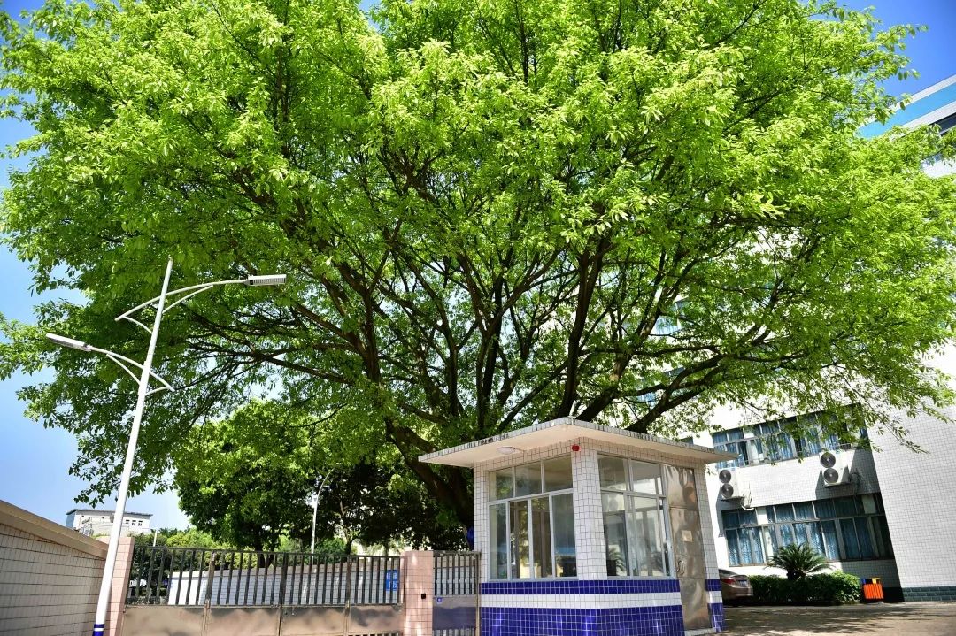 高职高考广东看什么,广东高职高考复习看哪些老师