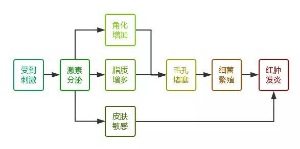 安迪总监，360°揭秘痘痘的原因