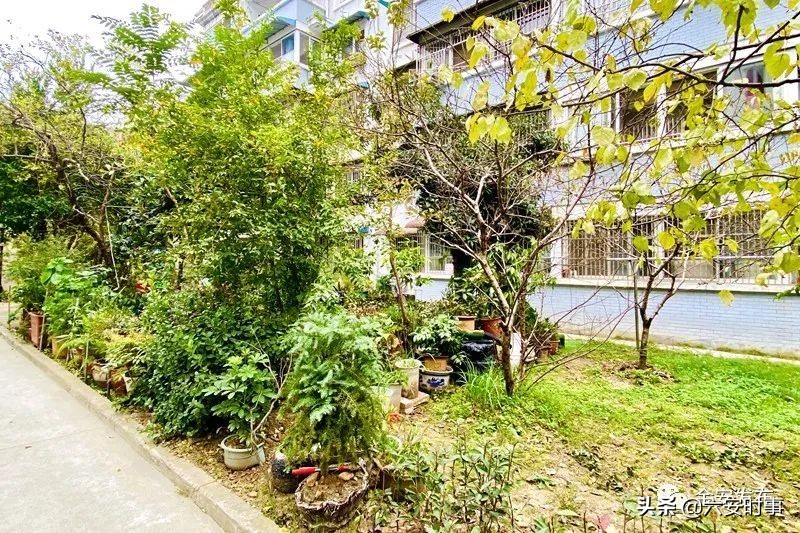 暗访！龙河苑、世纪家园、清水河畔一期、徽盐·湖畔明珠存在这些问题