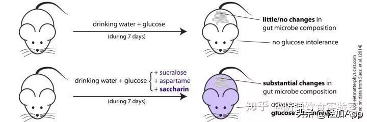 血糖高可以吃代糖吗,代糖能吃出糖尿病么