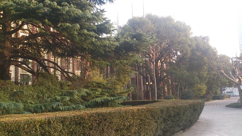 东华大学优势专业,东华大学优势学科