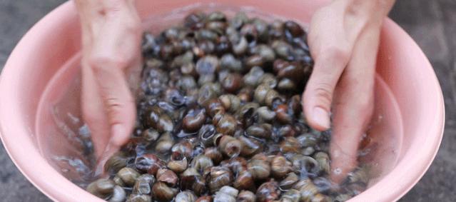 地道却不臭的螺蛳粉,臭宝螺螺蛳粉39.9元8包