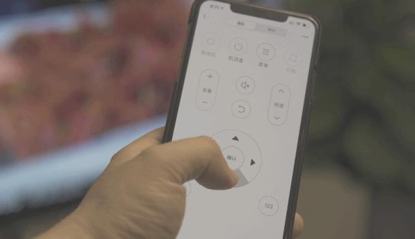 遥控彩灯无线遥控,小型智能遥控器