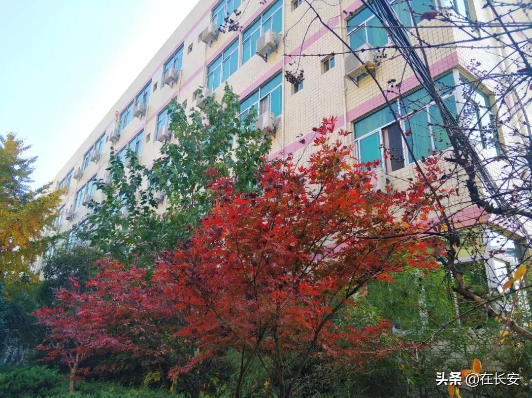 长安一中，长安最好的高中