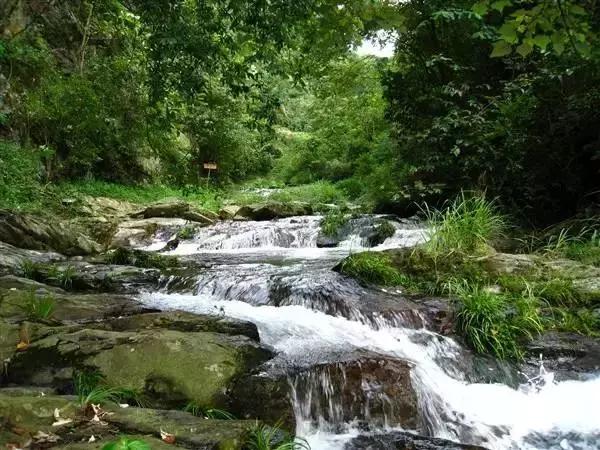 柳州到九寨沟自驾游攻略路线图,从广西柳州去九寨沟路过哪些景区