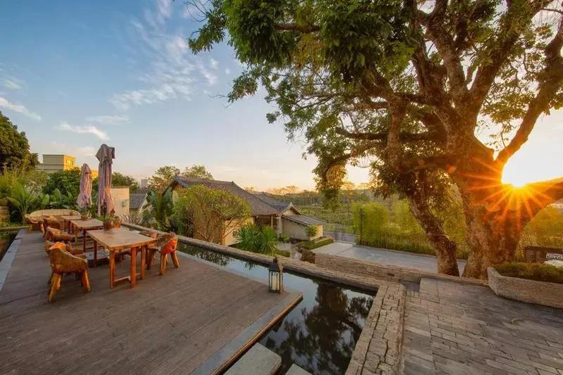 惠州秋长谷民宿推荐,惠州这家最有格调稻田民宿