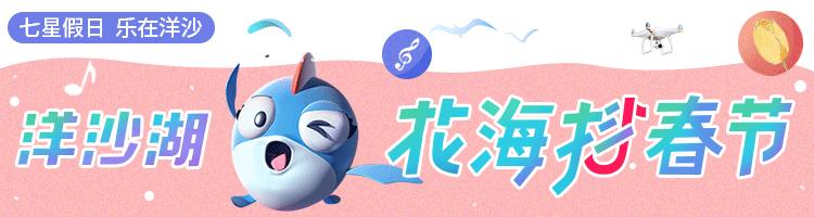 长沙洋沙湖,长沙洋湖附近游玩