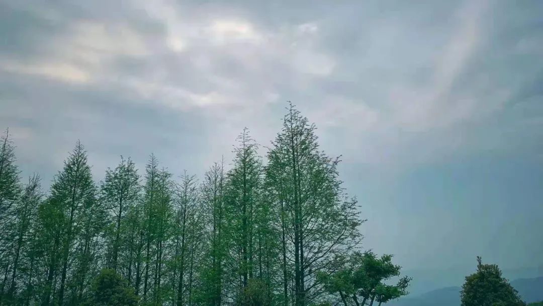 小李阿姨视频,小李阿姨生活视频