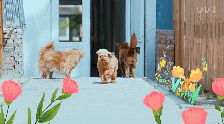 b站必看的综艺,b站能看的综艺推荐