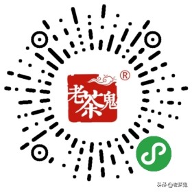 老鬼说茶玩转普洱茶,玩转普洱茶老茶鬼说茶