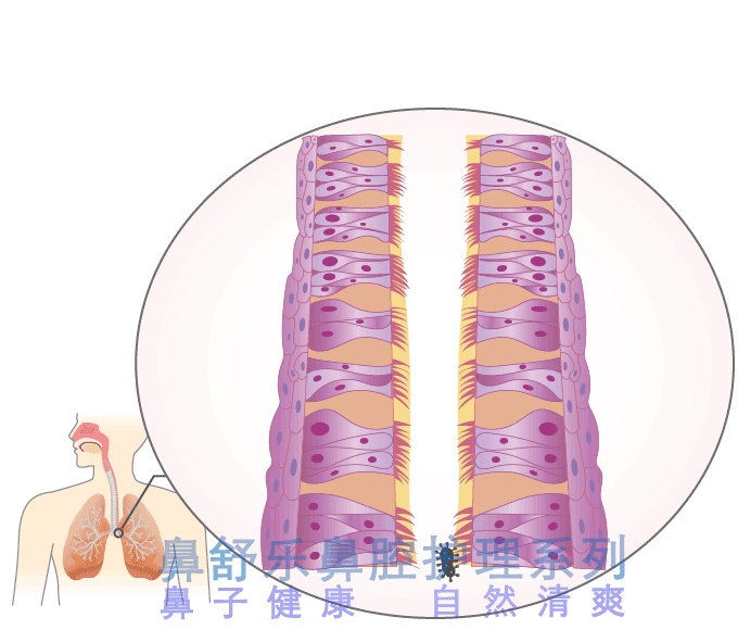 你们的慢性咽炎是怎么治好的,治慢性咽炎最好最快的办法