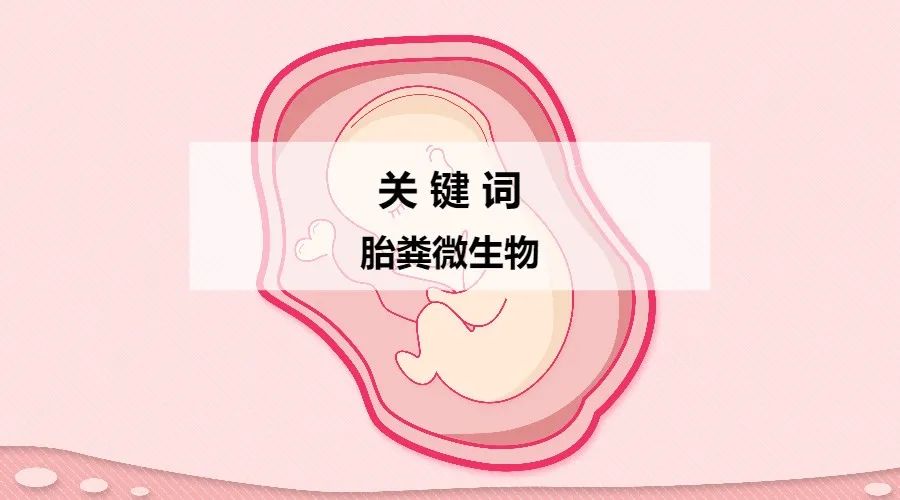 哪些菌可以在肠道定植,活菌在人体中可以存活吗