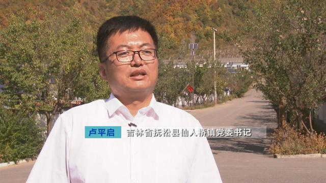 抚松县原始森林,吉林抚松森林