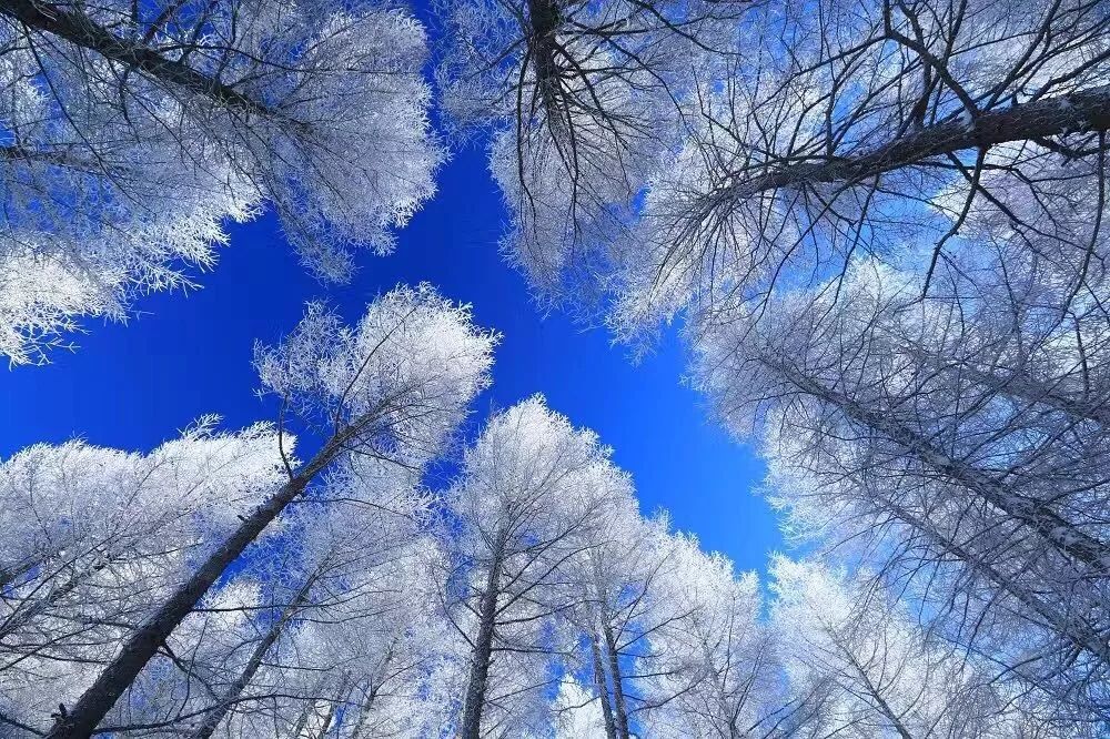 解读谜一样的大兴安岭，触手可及却又掩着神秘的面纱不肯轻易示人