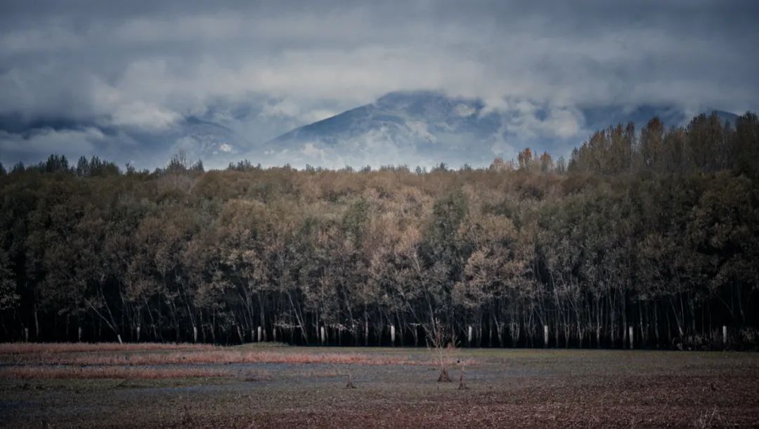 云南滇行记,云南剑川旅游攻略