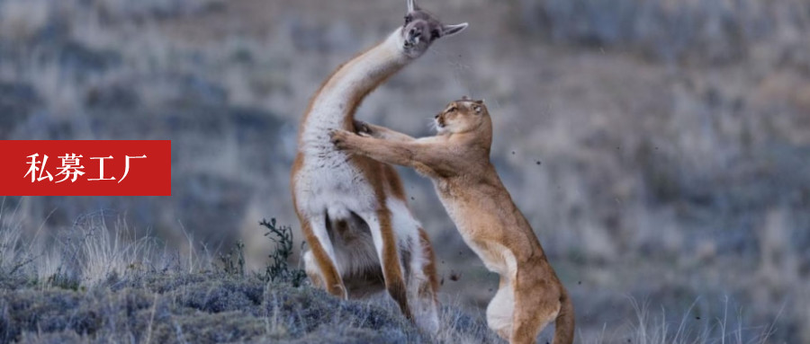 17亿惊雷!说好最多亏10%,结果只剩不到10%。。。