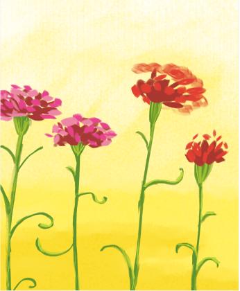 教师节儿童画康乃馨,八岁小孩画简单教师节的绘画