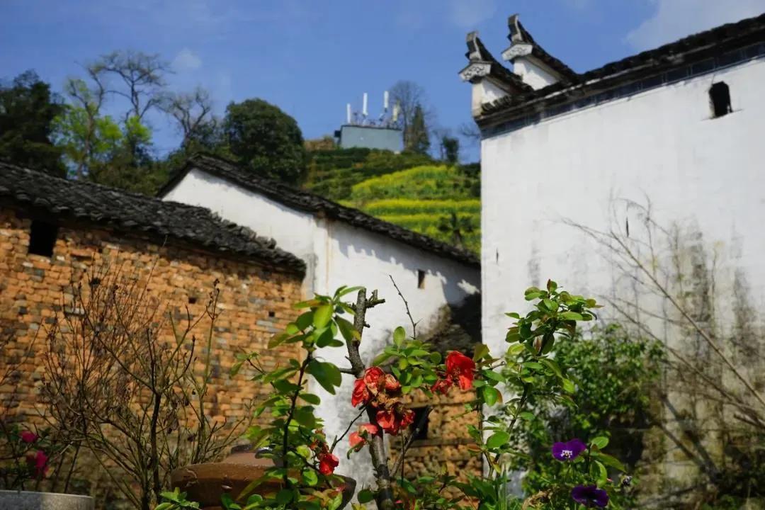 端午节省时省力的游玩攻略,端午去哪玩这份旅游攻略值得收藏