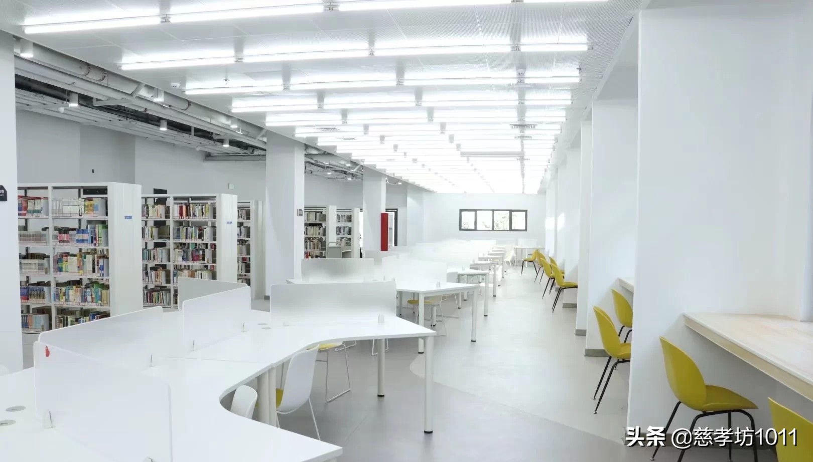 我的大学时光英语,在青岛科技大学读书什么感觉