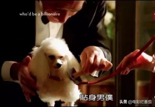 纪录片亲情,亲情纪录片