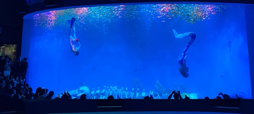 合肥周边亲子自驾游推荐景点,合肥亲子室内一日游攻略