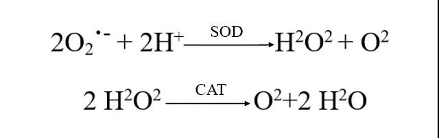 你们用大宝sod蜜吗,大宝sod蜜详细简介