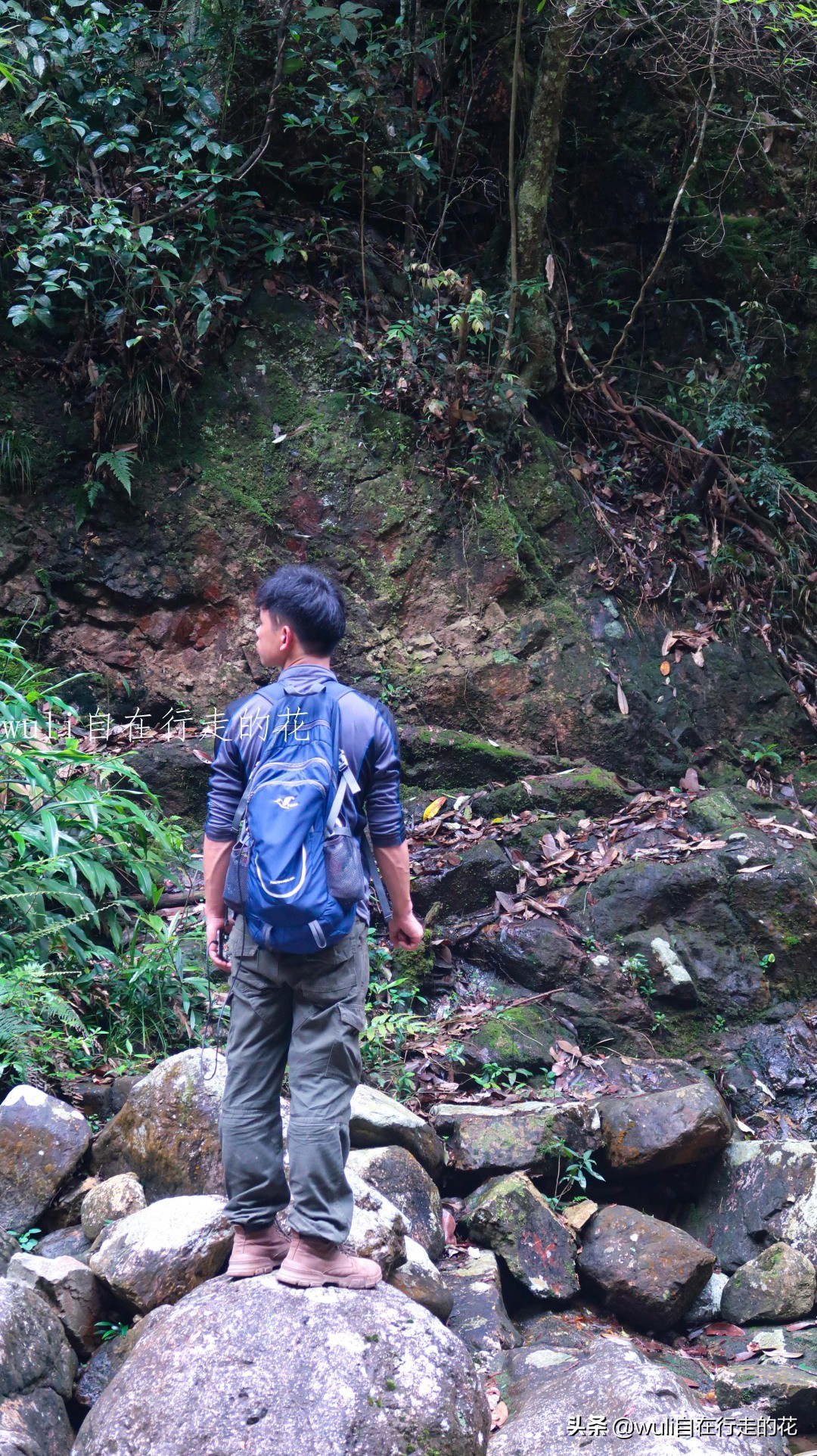 福州十八重溪徒步路线,福州森林公园登山徒步路线