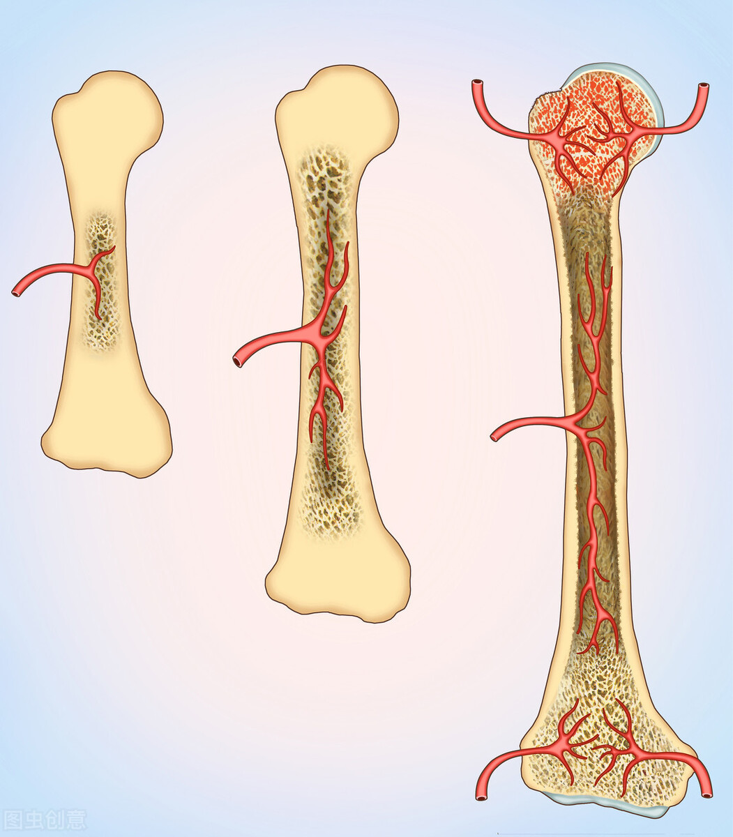 肾虚骨痛的中成药,由肾虚导致的骨痛吃什么药