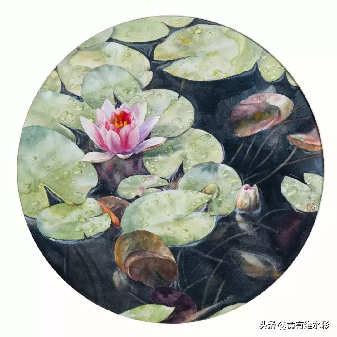 小清新水彩画玫瑰花,水彩画雨中玫瑰