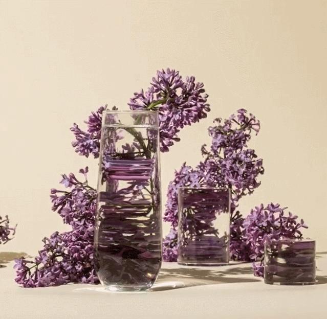 在家拍摄100个创意技巧,在家拍摄100个创意摄影方案