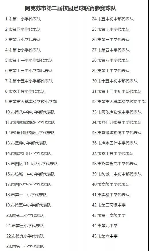 阿勒泰地区校园足球联赛2024,阿克苏足球学校联赛