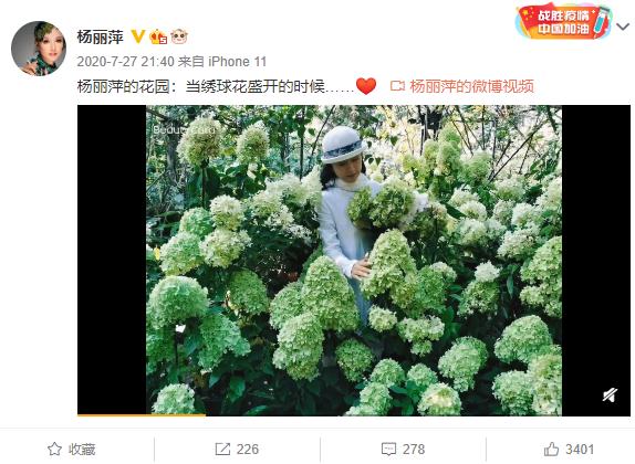 有一种向往叫西双版纳,有一种向往叫诗和远方完整版