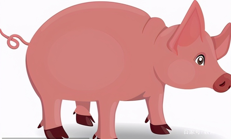 一年级语文比尾巴详细笔记,一年级语文6比尾巴的知识点