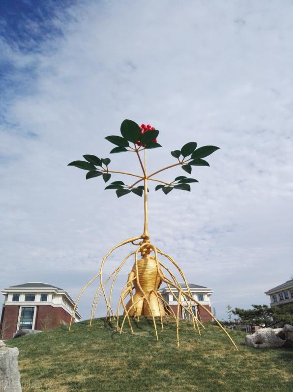 天津中医药大学针推专业怎么样,天津中医药大学的针灸专业视频