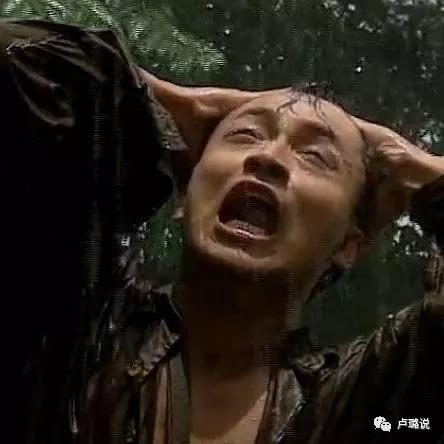 萧蔷林青霞,林青霞刘雪华年轻时谁美