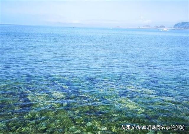 大连獐子岛旅游攻略住宿,獐子岛旅游住宿费用