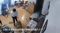 虐猫怎么处理最好,为什么虐猫的越来越多了