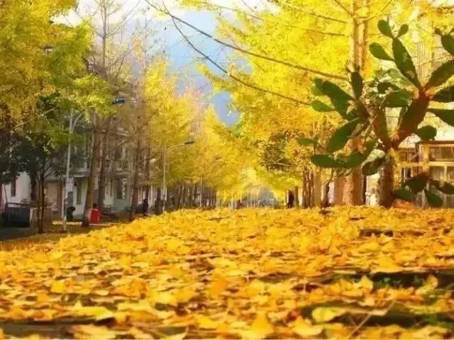 八九月，最值得去的神秘地方美丽风景。