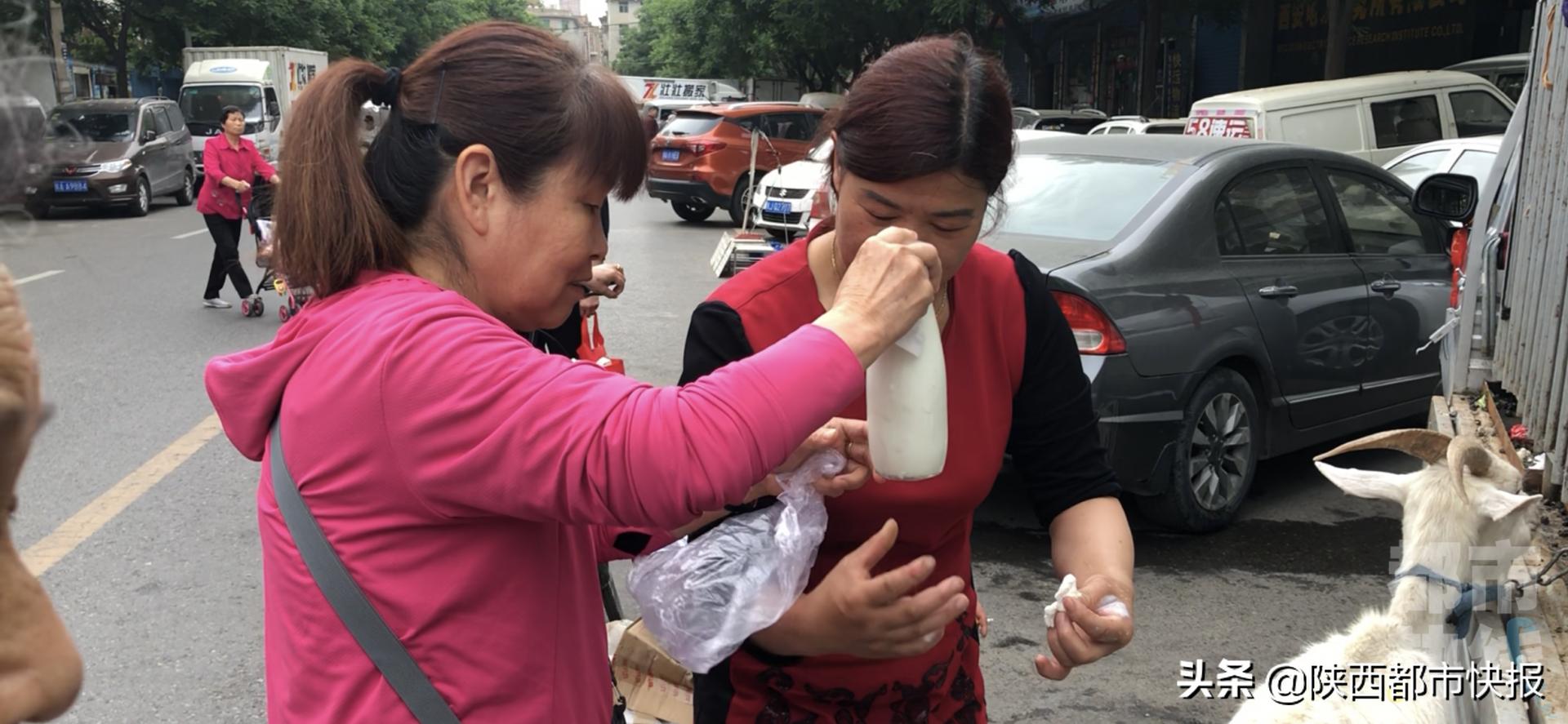 奶羊现挤现卖西安,西安街头卖现挤羊奶