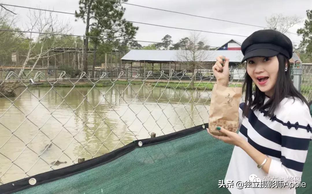 喂鳄鱼、看篮球比赛和太空中心的好玩休斯顿
