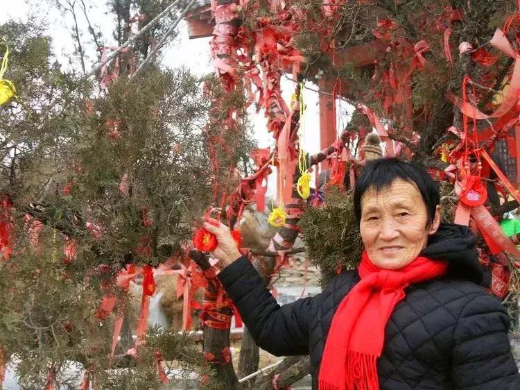 曲沃桥山介绍,曲沃桥山