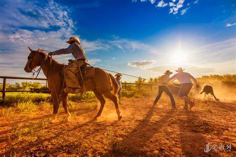 在弗吉尼亚大学上学是什么体验,德克萨斯上学感受