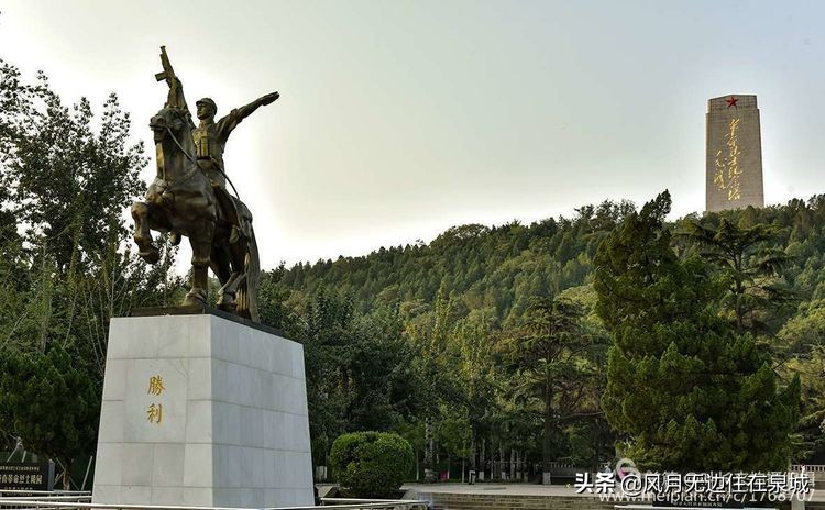 济南的法国梧桐,济南梧桐树美景