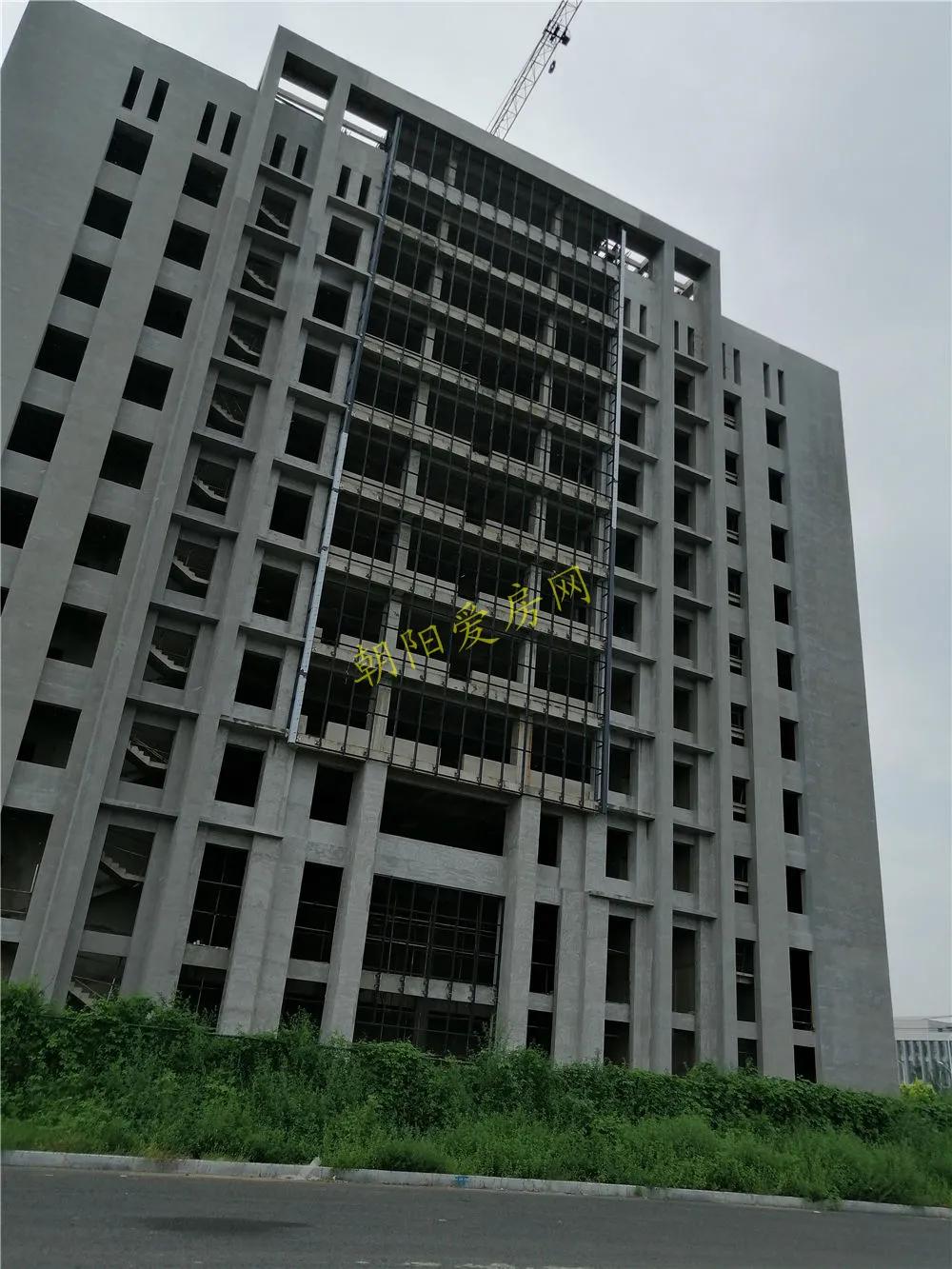 朝阳区操场,朝阳新区新建的学校